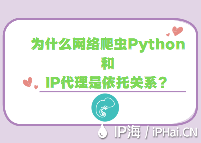 為什么網(wǎng)絡爬蟲Python和IP代理是依托關系？