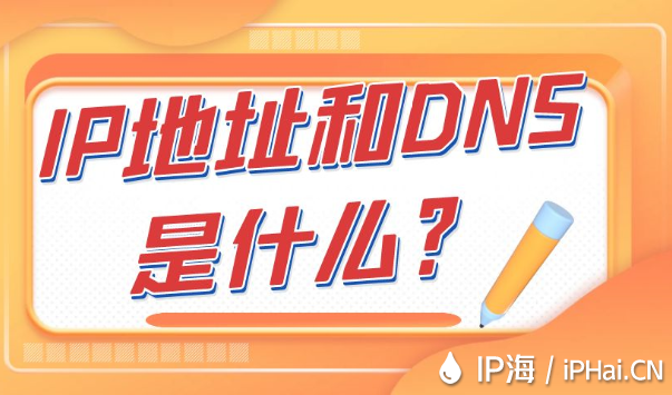 IP地址和DNS是什么？