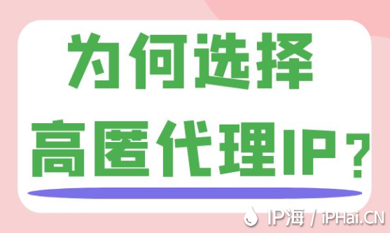 為何選擇高匿代理IP？